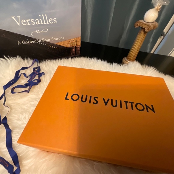 Louis Vuitton Gold/Brown Leather and Monogram Joy Ballet Flats - Picture 4 of 13